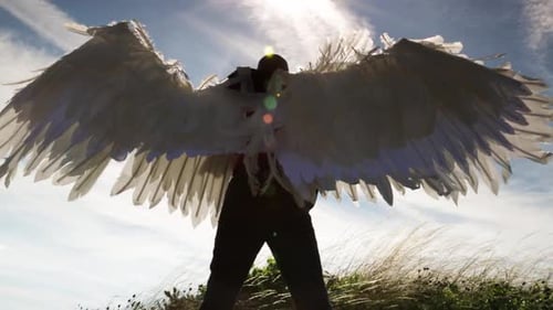 Close up from behind, Bird Man displays wings