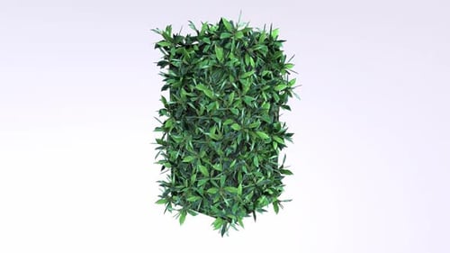 Lush Vertical Garden Wall with Green Leaves