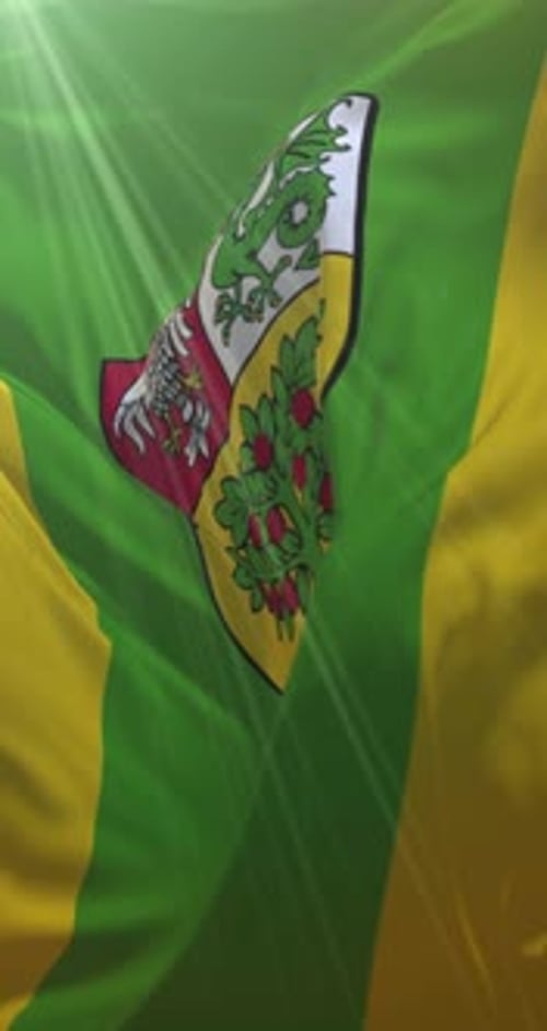 Waving Vertical Flag with Dynamic Heraldic Emblem