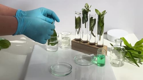 Laboratory analysis of leaves and plants