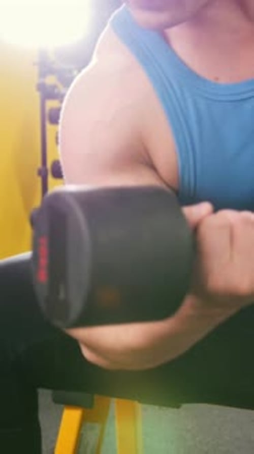 Weightlifting in the Gym Young Muscular Man Performs Training for