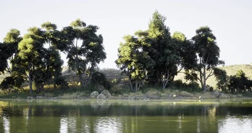 Lush Greenery and Calm Waters Reflect Natures Beauty By a Serene Lake