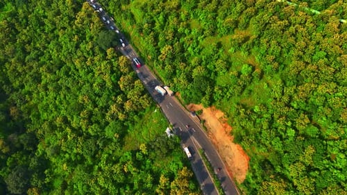 Vehicles drive on winding roads that are visible from the dense forest covering the valley upper sho