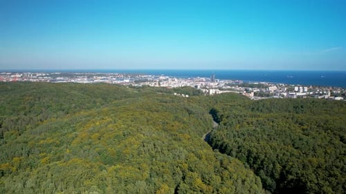 Vue aérienne en arrière d'une forêt dense avec la ville de Gdynia et la mer Baltique en arrière-plan