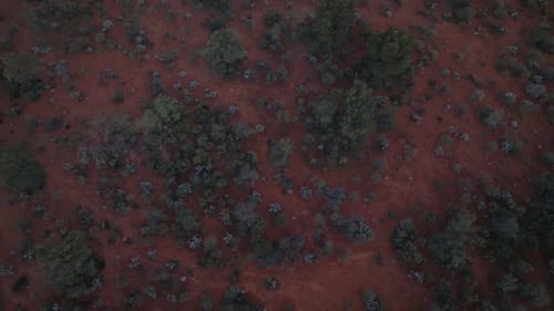 Tilting drone clip showing wide expanse of unique Australian outback habitat