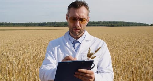 Scientist Inspecting Wheat Crop in Golden Field
