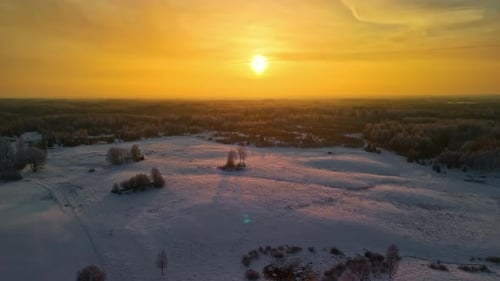 Aerial View of Serene Winter Sunrise over Snowy Landscape and Frosty Trees