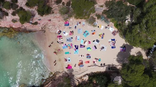 Straight down aerial drone footage of a beach known as Cala Gracioneta in the town of Sant Antoni