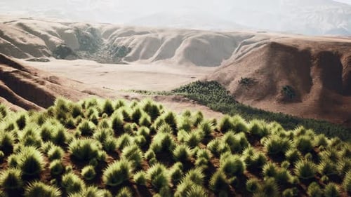 the Rocky Landscape of the Californian Mojave Desert with Green Shrubs