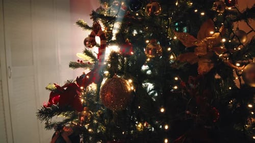 Christmas Tree Branch At Sunlight