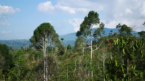 natural views of hills and mountains