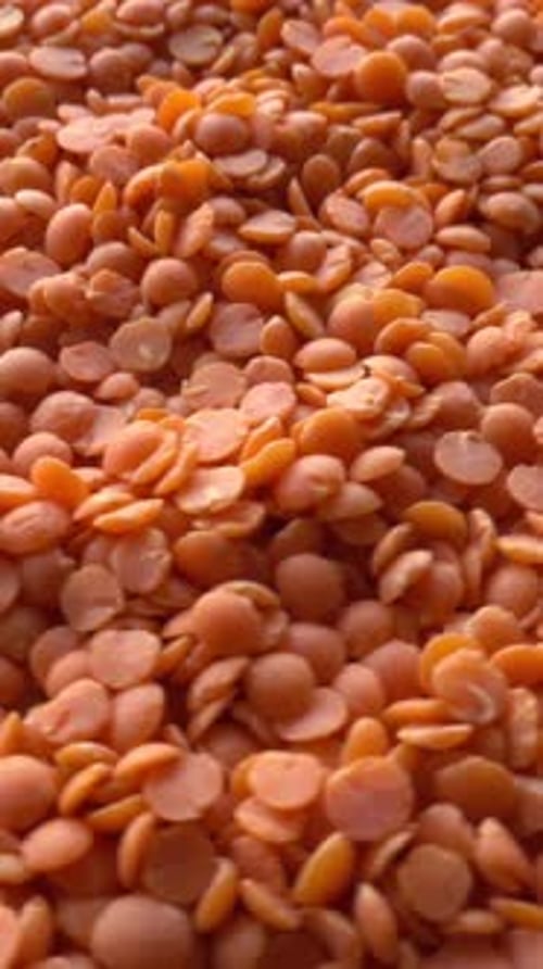 Close Up of Fresh Red Lentils