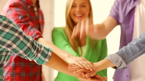 Education and School - Students Showing Unity with Their Hands Together All