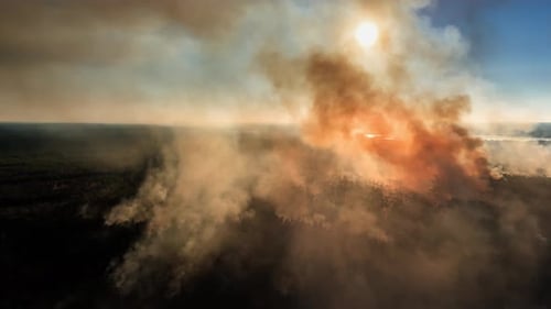 Aerial drone shot showing forest fire smoke rising from the forest below . Drone travels into the sm