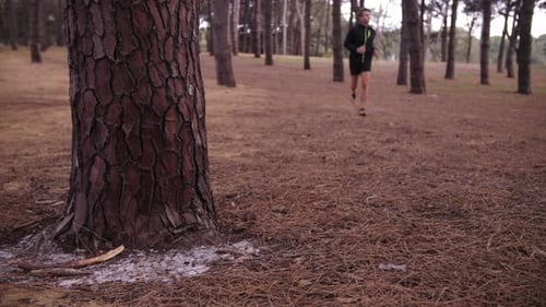 Man Jogging in Slow Motion with Pine Tree Forest Surrounding Him