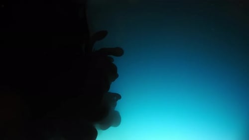 Gouttes de peinture arc-en-ciel colorées du bas se mélangeant à l'eau, gros plan