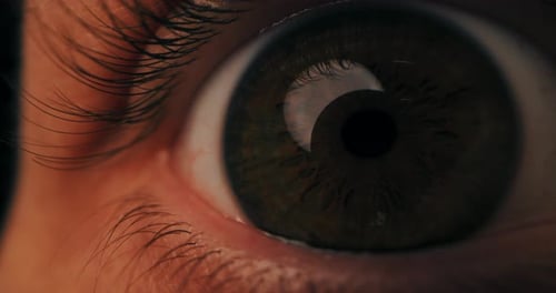 Macro Closeup on the Details of the Human Eye