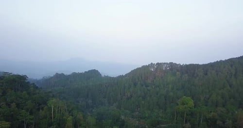 Aerial view of forest trees on mountaintop during cloudy and foggy day in national park
