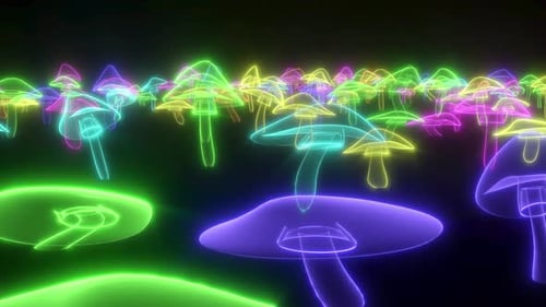 3D Psychedelic Glow Neon Color Mushrooms Forest Able to Loop Endless