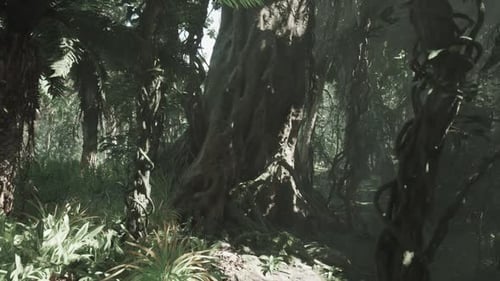 Lush Tropical Jungle Forest with Sunbeams and Thick Vines