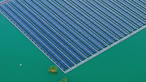 Floating Solar Panels with Resting Seagulls at Sunset Aerial Cinematic Shot