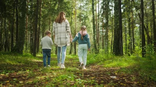 Back View of Family Strolling Through Forest As Girl Holds Grass