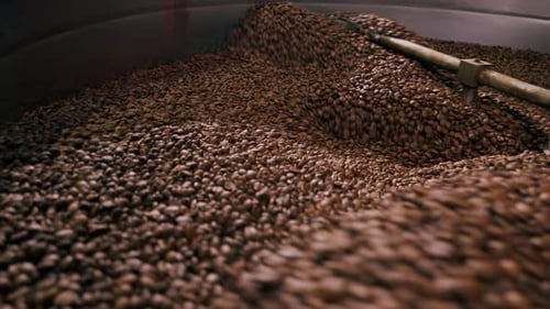 Closeup of a Coffee Roasting Factory Inside Drum Roasting Stirring Coffee