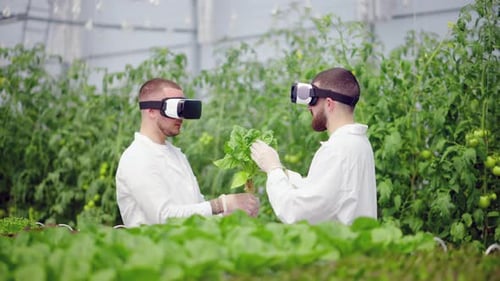 Men Wearing VR Headsets Examining Plants in Greenhouse