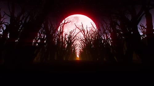 Dark Forest