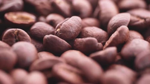 Close Up of Brown Roasted Coffee Beans