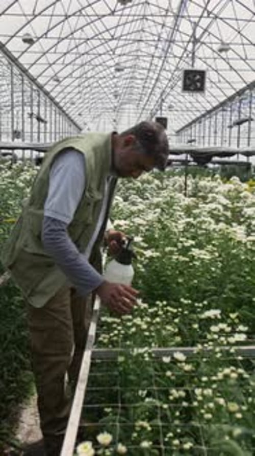 Man Tending Flowers in Greenhouse