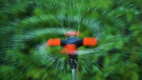 Close-up sprinkler irrigates a plant in a garden in slow motion