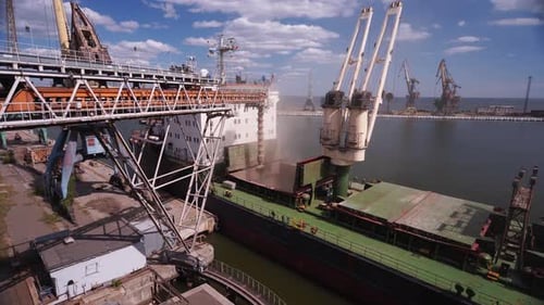 Wheat Loading to Bulker Ship Cargo Container at Sea Grain Terminal in Seaport Wheat Shipment From