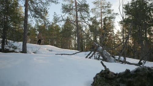 Young bearded man walking in winter forest on cold day, static view