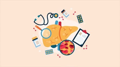 Stages Of Liver Disease Animation