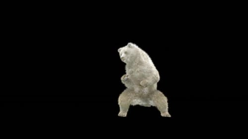 Furry White Creature Performing Humorous Dance Loop