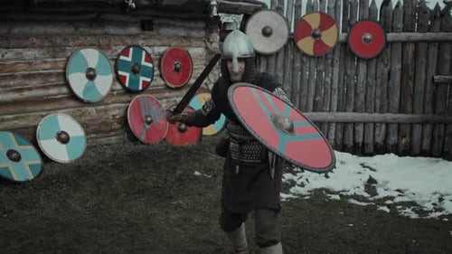 Viking Warrior with Sword and Shield Ready to Fight