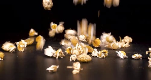 Dried Chamomile Flowers Falling on Dark Surface