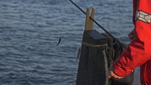Pescadores pescando no Bósforo, Ponte Galata, com vista para o mar