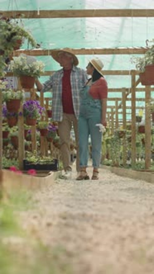 Female Plant Nursery Worker Showing Senior Man around Workplace