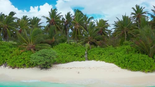 Aerial view of beautiful paradise Maldives tropical beach with palm trees on island
