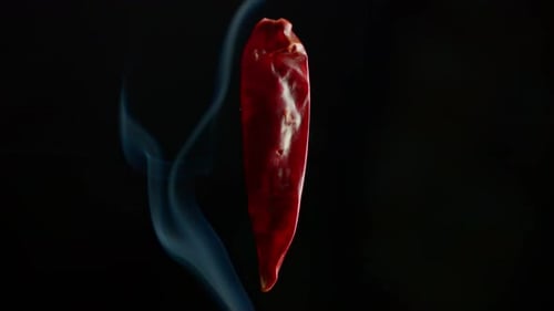 Dried Chili Pepper with Smoke on Dark Background