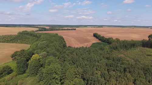 An aerial video showing wide stretches of farmland bordered by dense green forest. The contrast