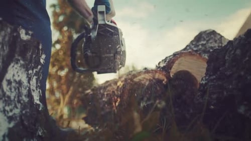 Person Cutting Tree Trunk with Chainsaw