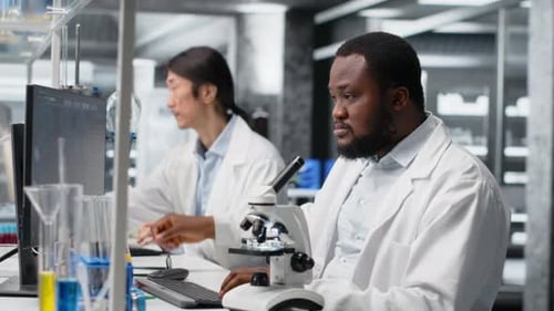 Scientists Work at Desks in Modern Medical Laboratory
