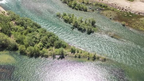 Vue aérienne de la rivière couverte d'arbres
