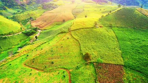 Rolling Green Farmland: Aerial View of Terraced Fields