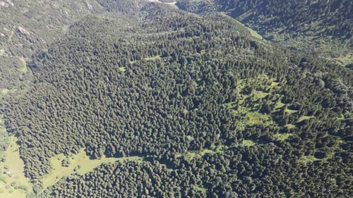 Drone view of mountains covered with forest, green nature landscape