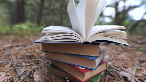 Libros apilados en el bosque