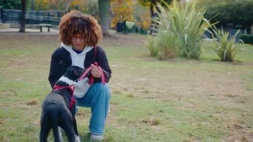 Female Owner Petting Cute Dog on Green Lawn in the Park